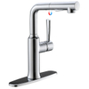 Single Hole Kitchen Sink Faucet with Pull out Sprayer