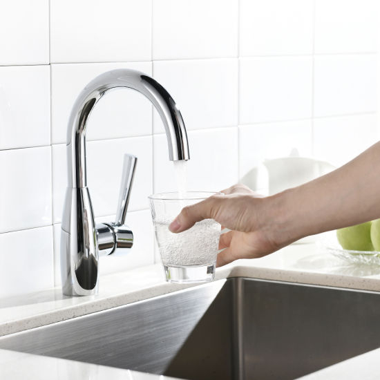Chrome Plate Kitchen Faucet Sanitary Ware Water Tap