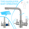 3 way stainless steel kitchen faucet with clean water