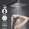 Pressure balance valve concealed shower set with lifting rod